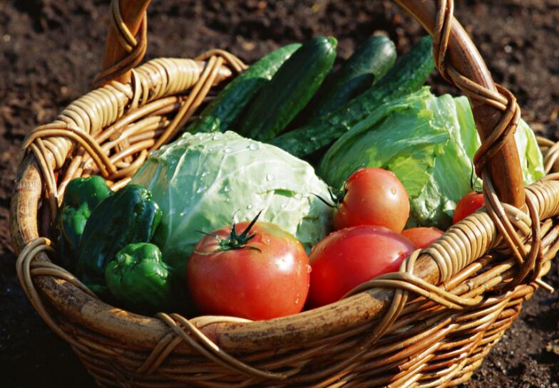 教你(nǐ)新鮮蔬菜的(de)正确保存方法